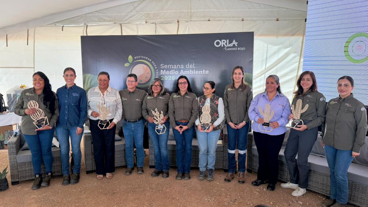 Boletin Informativo de la Cámara Minera de México