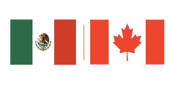 Boletin Informativo de la Cámara Minera de México