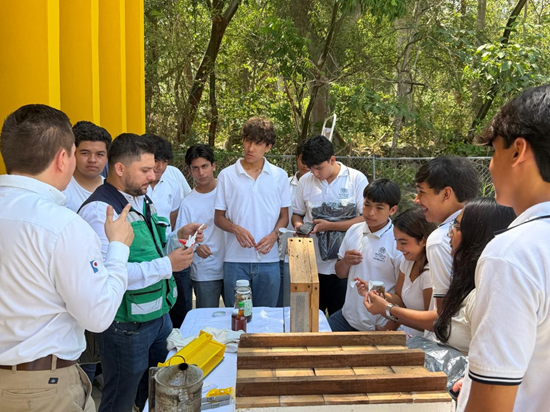 Boletin Informativo de la Cámara Minera de México