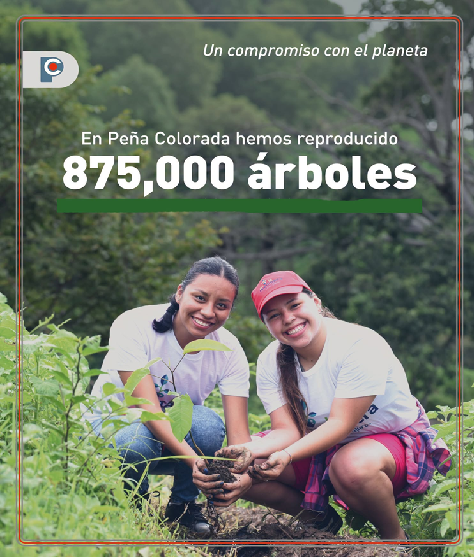 Boletin Informativo de la Cámara Minera de México