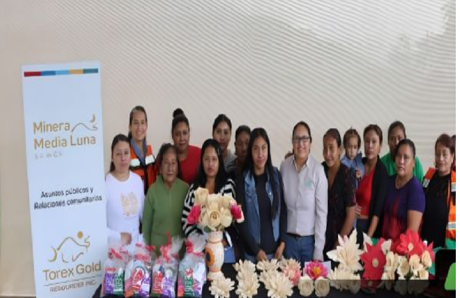 Boletin Informativo de la Cámara Minera de México