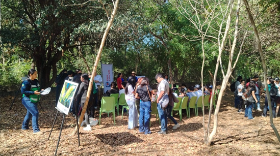 Boletin Informativo de la Cámara Minera de México