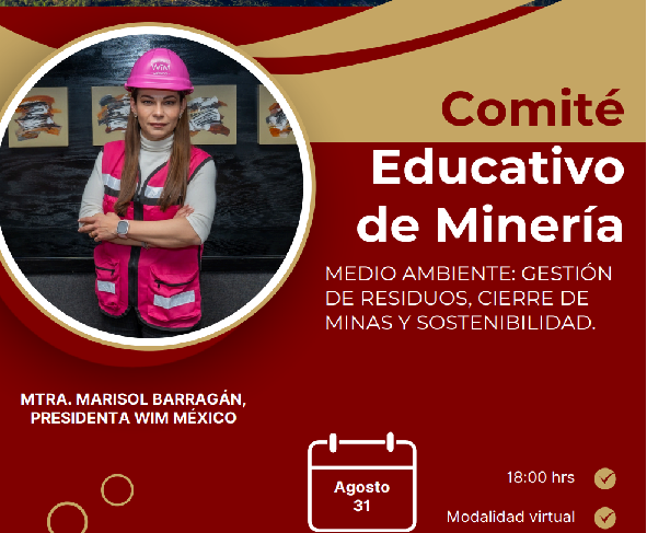 Boletin Informativo de la Cámara Minera de México