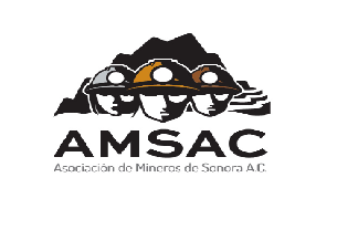 Boletin Informativo de la Cámara Minera de México