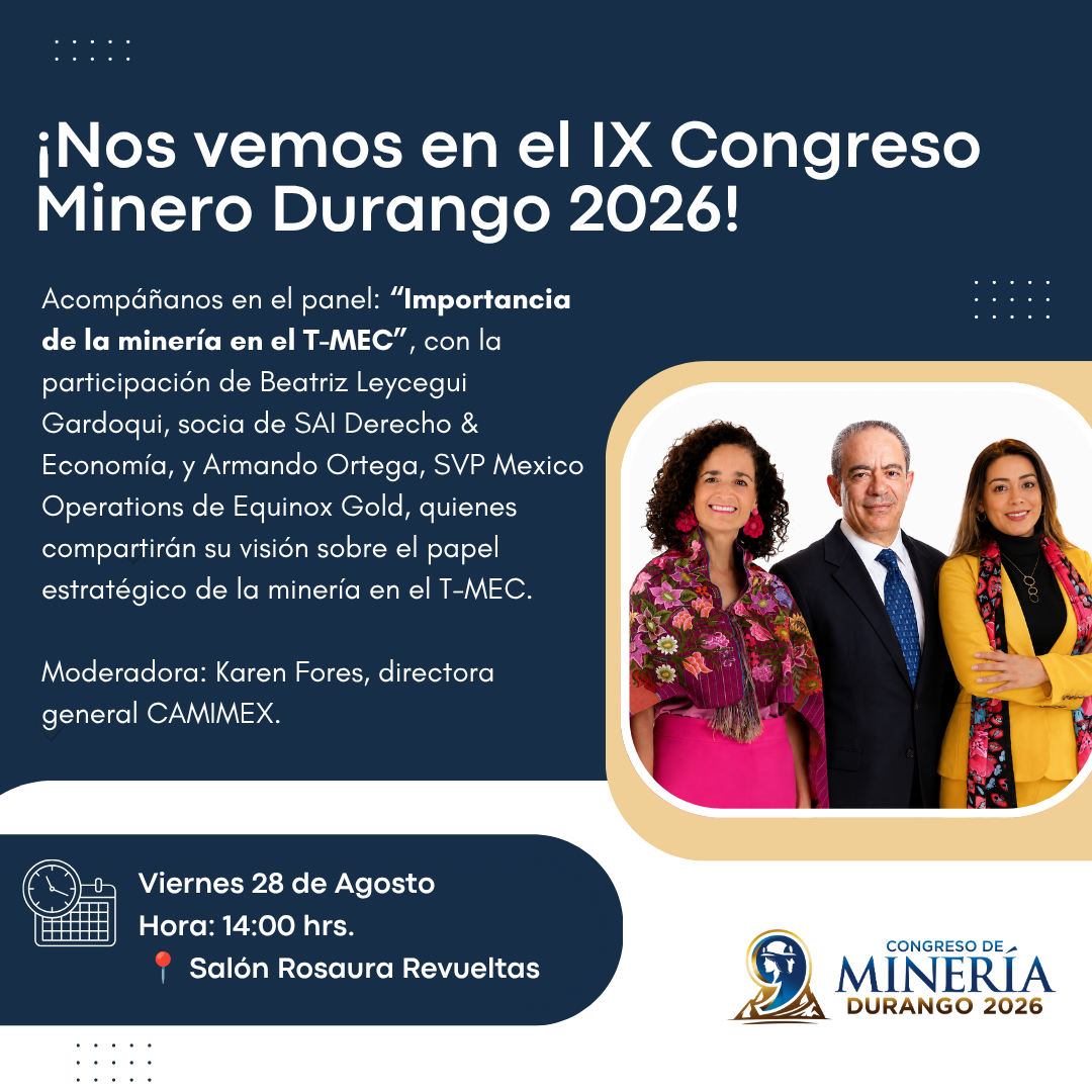 Boletin Informativo de la Cámara Minera de México