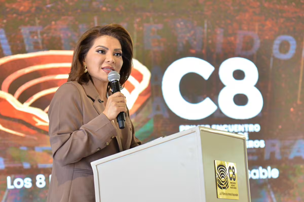 Boletin Informativo de la Cámara Minera de México