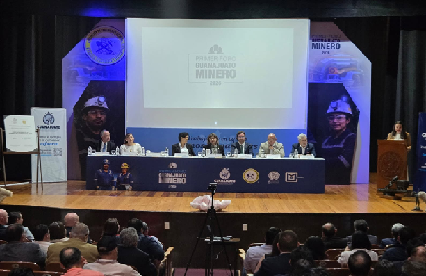 Boletin Informativo de la Cámara Minera de México