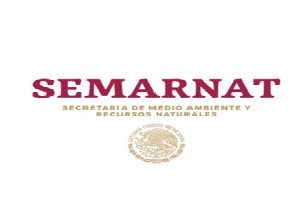 Boletin Informativo de la Cámara Minera de México